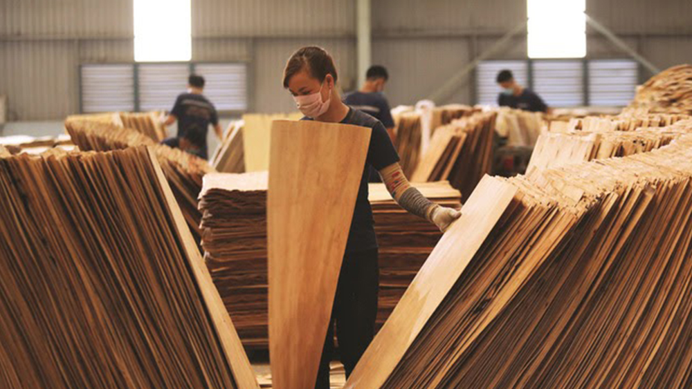 Xuất khẩu gỗ, sản phẩm gỗ vào Mỹ: Tăng nhưng chưa bền vững