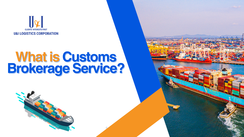 dich-vu-khai-bao-hai-quan-la-gi