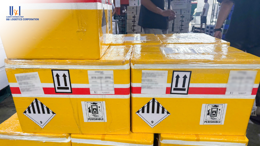 U&I LOGISTICS VẬN CHUYỂN THÀNH CÔNG LÔ HÀNG CÁ ĐÔNG LẠNH XUẤT KHẨU SANG HÀN QUỐC